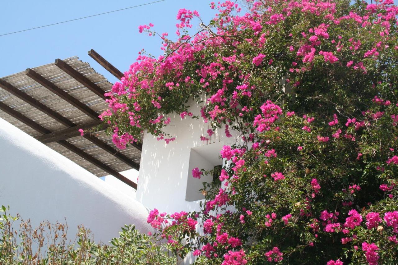 Petra Holiday Village Chora  Ngoại thất bức ảnh