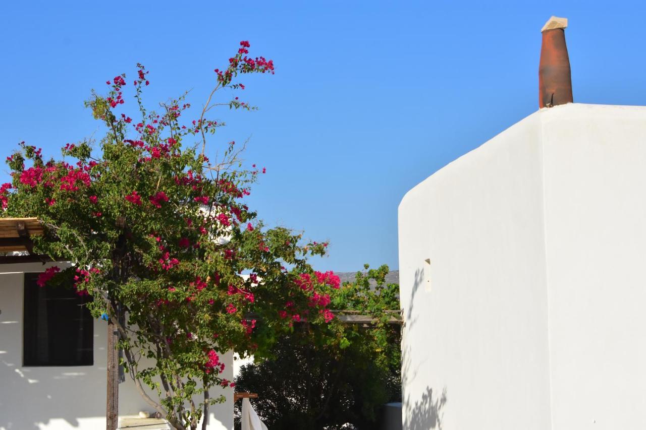 Petra Holiday Village Chora  Ngoại thất bức ảnh